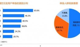 婚恋爆料新闻视频播放,视频播放背后的情感纠葛与真相揭晓